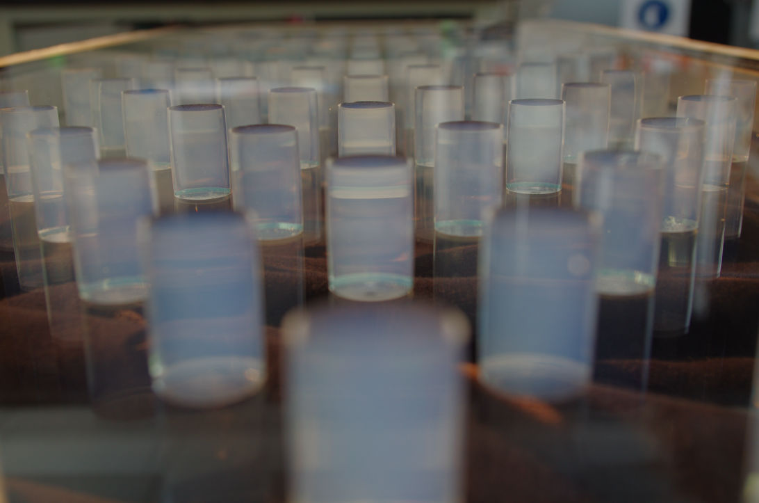 CAE - Project highlights Smart Functional Materials